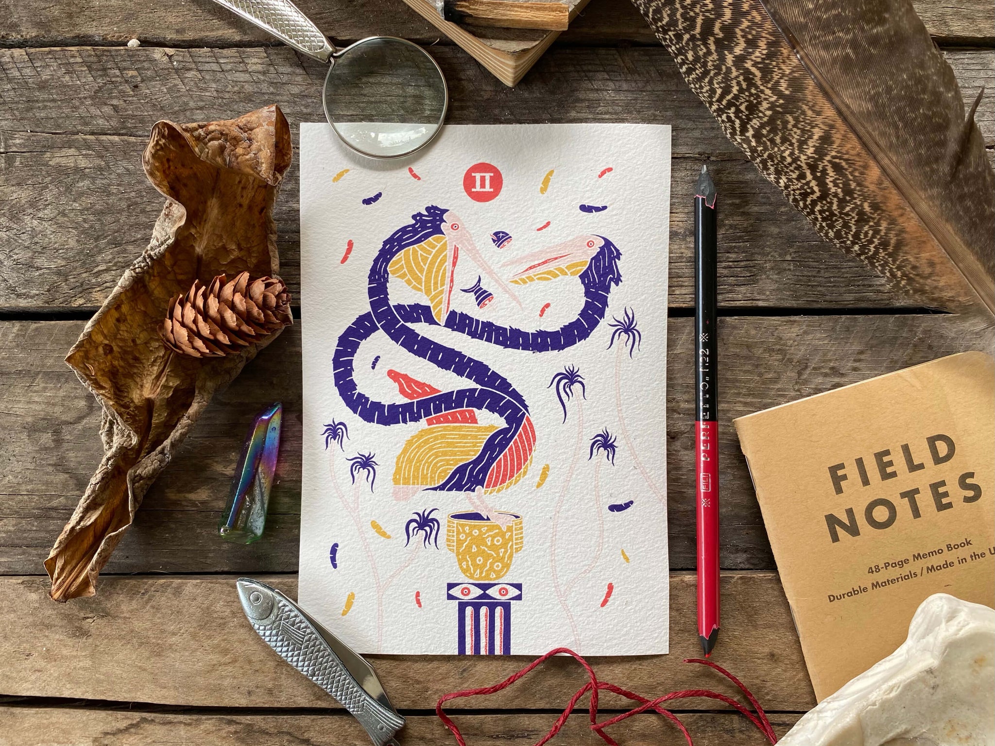 Two-Headed Pelican Art Print